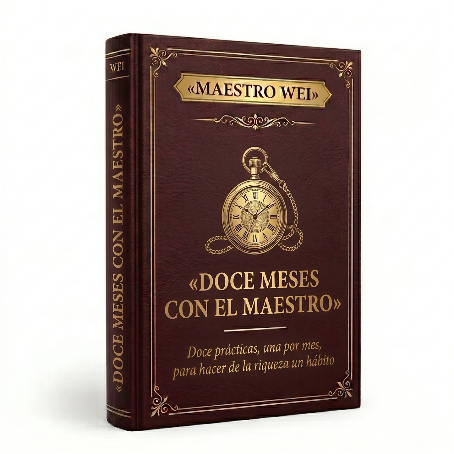 Doce Meses Con El Maestro